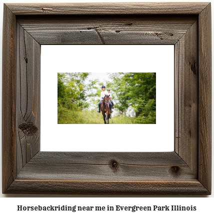 horseback riding near me in Evergreen Park, Illinois